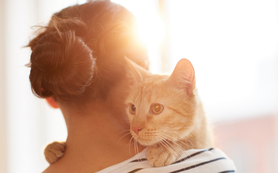 How Long Does Pet Grief Last?