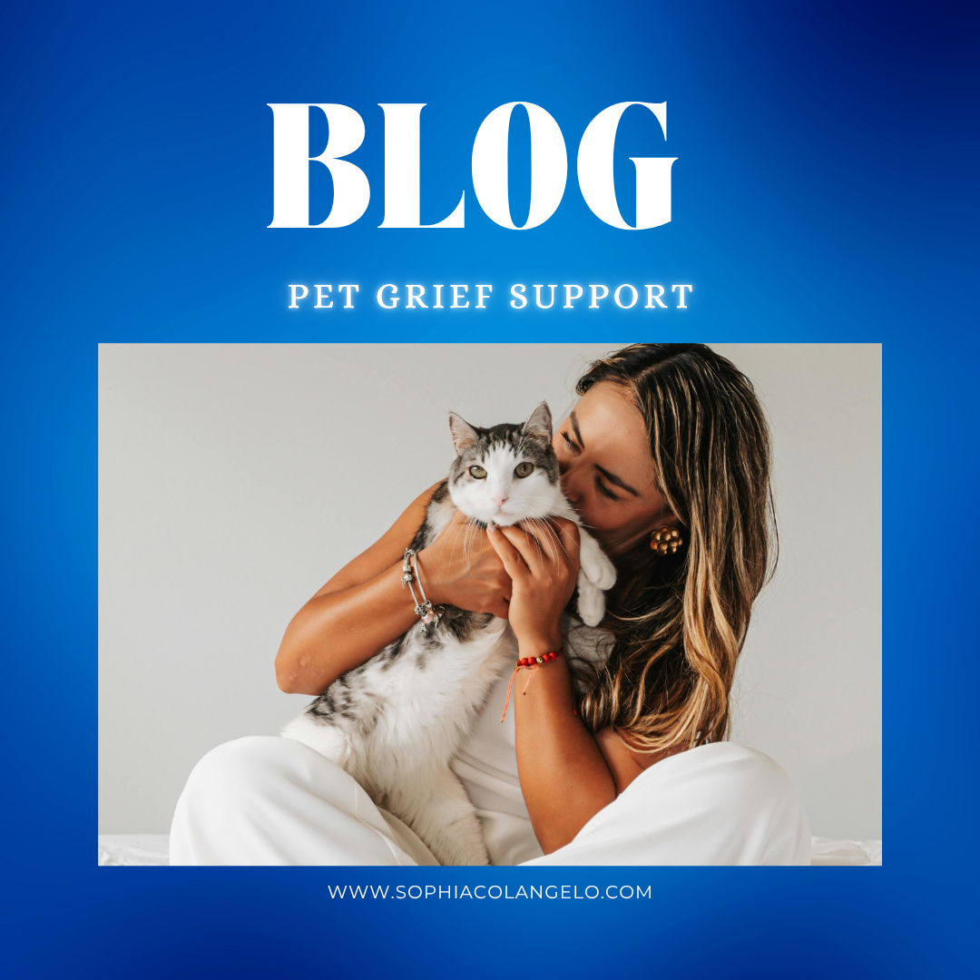 blog